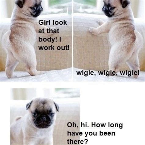 Wiggle Wiggle Wiggle Dog Pictures Animal Pictures Funny Pictures Dog