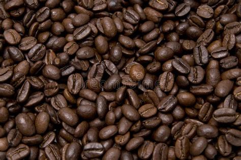 Coffee Grains Stock Image Image Of Caffeine Peruvian 91471739