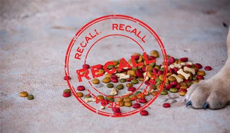 Ahold delhaize, elm pet foods, inc., kroger, lidl (orlando brand), anf, inc., sunshine mills, inc., natural life pet products and nutrisca. Dog Food Recall: What It Means and What You Must Do - Top ...