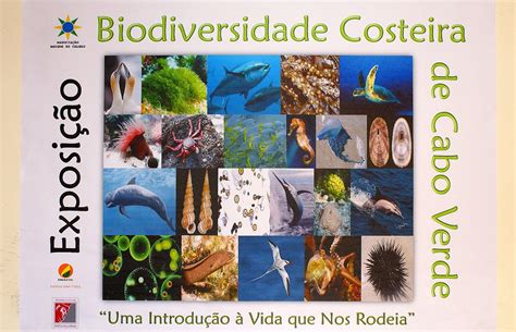 Exposição Biodiversidade Costeira De Cabo Verde Aac Metamorphosis