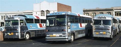 Greyhound Showbus International Bus Image Gallery Usa