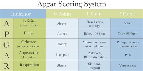 Apgar Score`s Parameters And Meaning