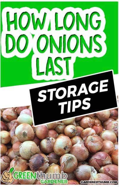 Most People Ask How Long Do Onions Last In The Food Pantry We Give You