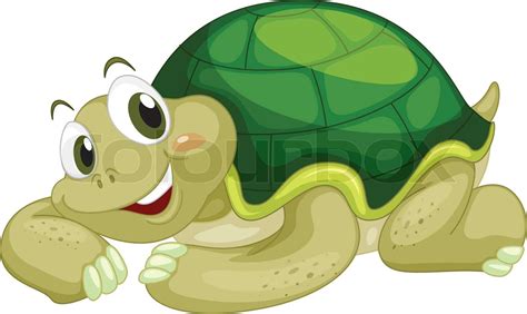 Animated Turtle Stock Vector Colourbox