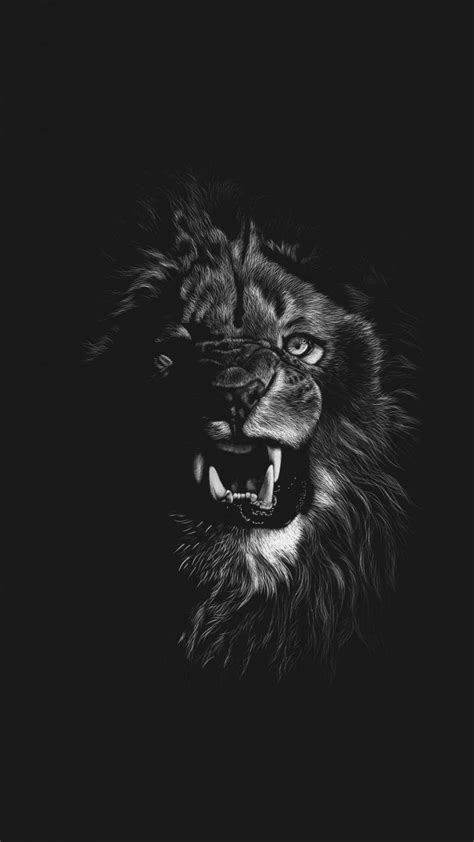 Stunning Black And White Pictures Show The Majesty Of The Lion Artofit