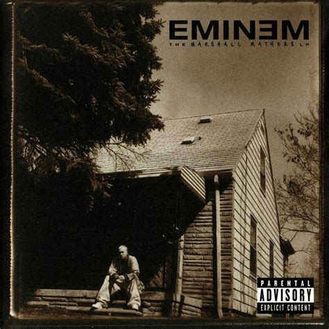 Eminem The Marshall Mathers Lp Album Cover Poster Silk Art Etsy