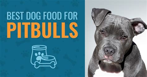 And like any dog, their nutritional needs will change as they get older. 5 Best Dog Food For Pitbulls in 2021 - Animalso
