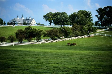 Lexington Kentucky Travel Guide Hotels Attractions Shopping And More
