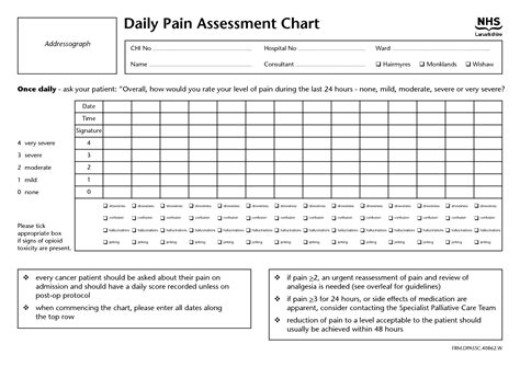 Daily Pain Assessment Chart