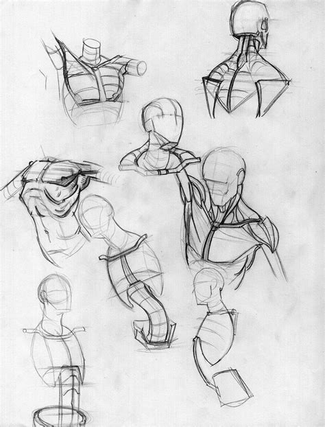 Human Anatomy Drawing Gesture Drawing Drawing Skills Drawing