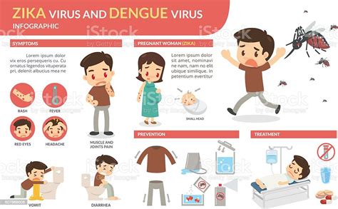 Zika Virus And Dengue Virus Infographic Stock Illustration Download