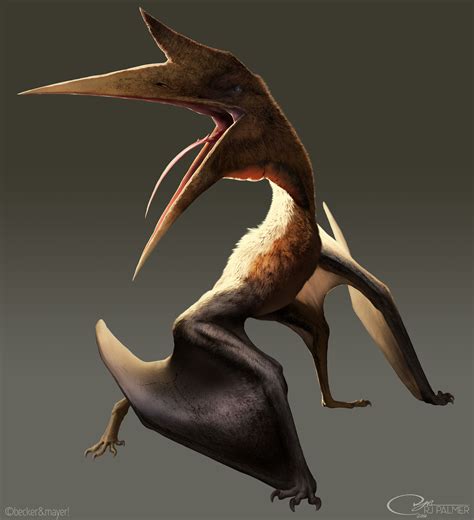 Quetzalcoatlus Dinopedia Fandom Powered By Wikia