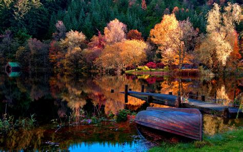 Lake Trees Forest Dock Boat Nature Reflection