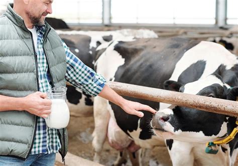 How To Start A Small Dairy Farm The Ultimate Guide Milky Day Blog