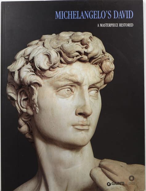 michelangelo s david a masterpiece restored by falletti franca text and antonio quattrone