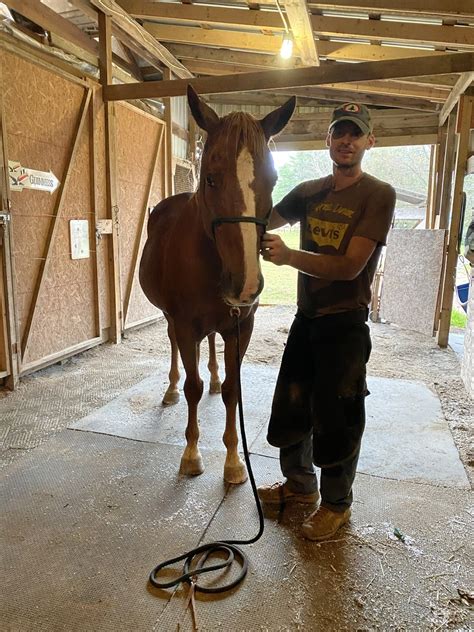 How To Become Your Farriers Favorite Client Ashley Forlie Horse Training