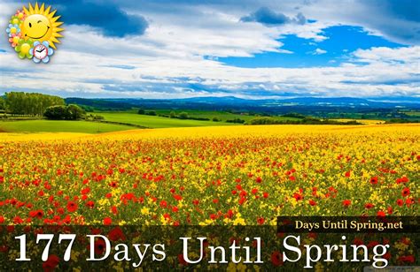 177 Days Until Spring The Countdown To Spring 💛🌈🌷 🌈 👉