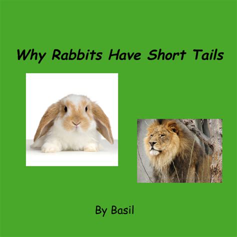 Why Rabbits Have Short Tails Book 93126 Bookemon