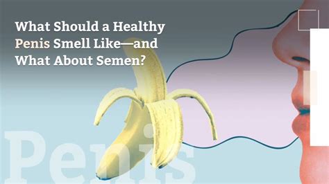 What Should A Healthy Penis Smell Like—and What About Semen