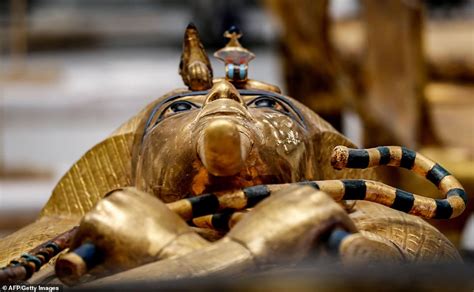 Tutankhamuns Coffin Is Taken Out Of Sterilisation Tent After First