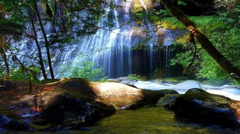 70 Forest Waterfall Wallpaper