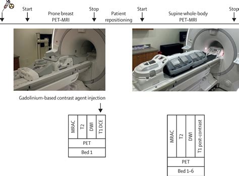 Clinical Advances In Petmri For Breast Cancer The Lancet Oncology