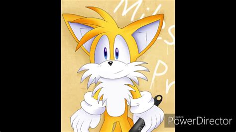 My Voice Of Sonic‚miles Tails Prower‚nicole‚amy Rose Cringe Waring Of
