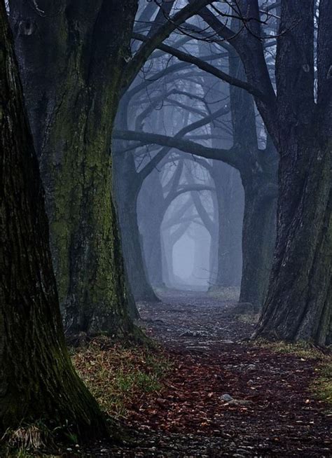 Which Gothic Literary Character Are You Beautiful Photography Nature