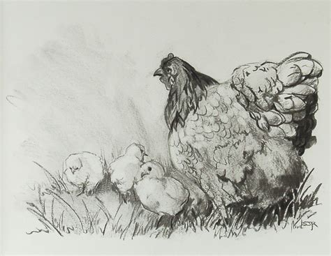Hen And Chicks Charcoal By Sarafinafiberart On Etsy Drawings