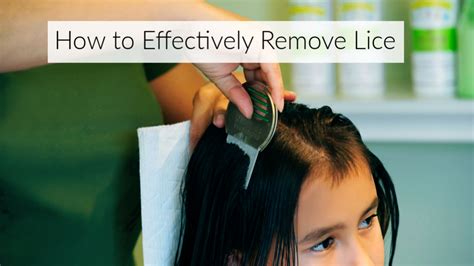 Lice Treatment Comb Stainless Steel Effectively Removes Louse And Nits