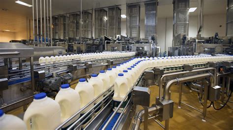Developing Nigerias Multi Billion Dollar Dairy Market The ‘arla Way