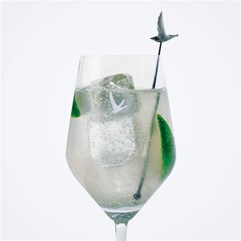 Enjoy Vodka Lime And Soda A Cocktail Made With GREY GOOSE Vodka
