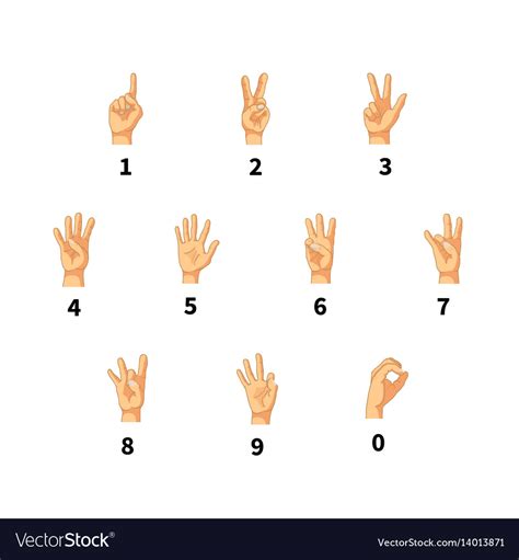 Numbers In Hand Sign Language Isolated On White Vector Image