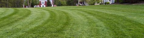 Maybe you would like to learn more about one of these? Overland Park Lawn Care Services- Custom Lawn | Johnson ...