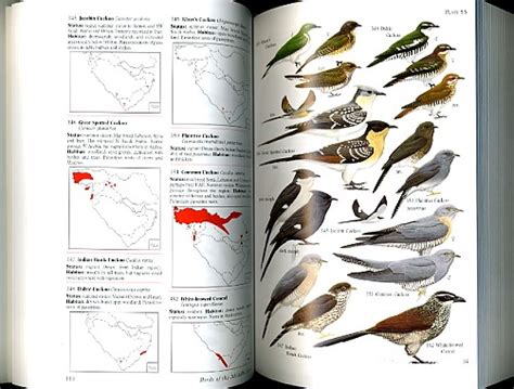 Birds Of The Middle East Arabic Edition Society For The Protection