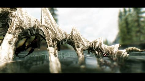 Enhanced Hd Dragon Bones At Skyrim Nexus Mods And Community