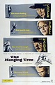 The Hanging Tree (1959) - IMDb