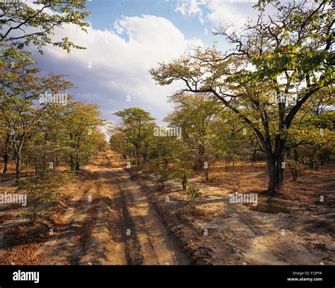 Rural Road Zambia Africa Stock Photo Alamy