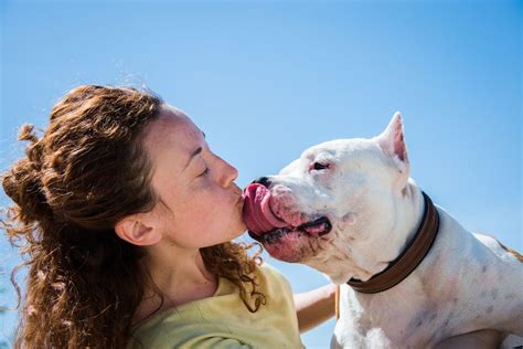 Should You Let Your Dog Lick Your Face
