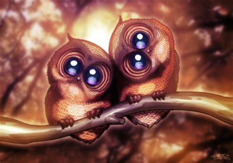 Two Cute Owls By Jarrrodelvin On Deviantart