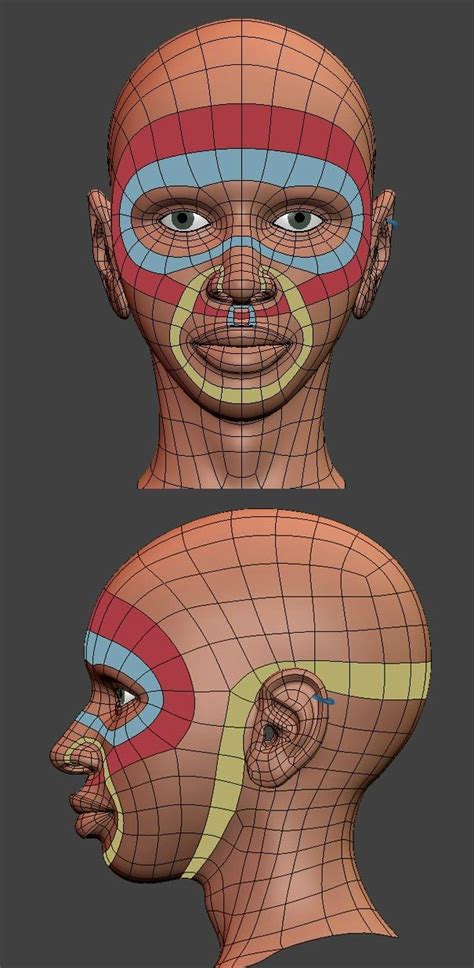 head topology character design face topology character modeling