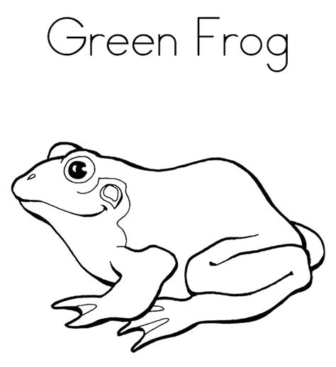 Red Eye Tree Frog Coloring Pages At Getdrawings Free Download