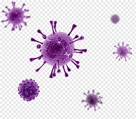 Polish your personal project or design with these virus transparent png images, make it even more personalized and more attractive. virus-graphy-disease-3d-rendering-others-png-clip-art ...
