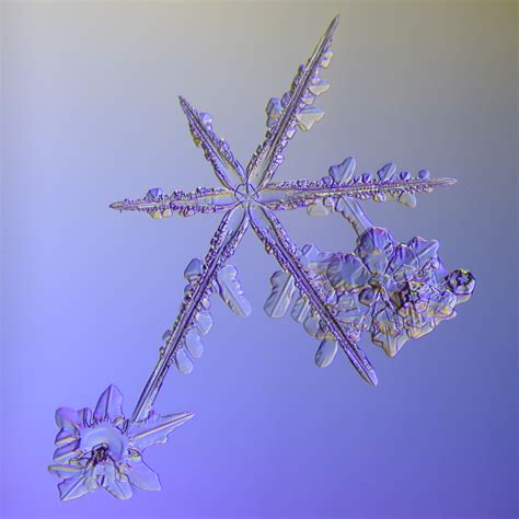 Is Every Snowflake Perfect What About Us Lagniappe Lan Yap A