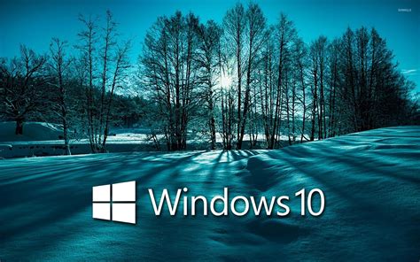 Windows 10 On Snowy Trees White Text Logo Wallpaper Computer