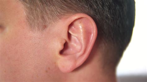 Recognize Causes Of Ear Buzzing 21st