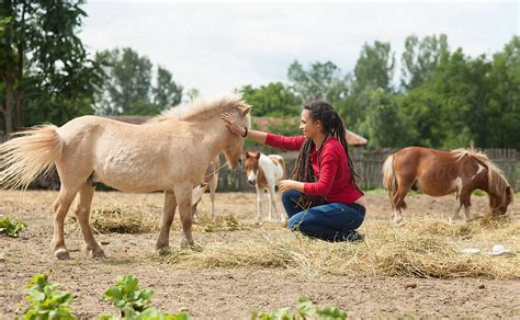 Woman Taking Care Of Farm Animals By Mosuno Animal Farmer