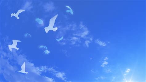 White Birds In Blue Skies Wallpaper For 1920x1080