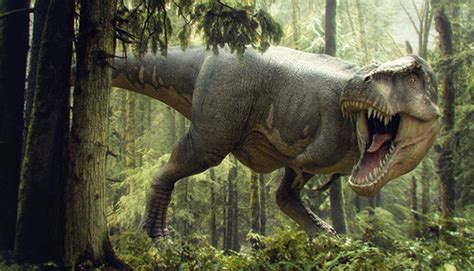Tiranossauro Tyrannosaurus rex Atlas Virtual da Pré História