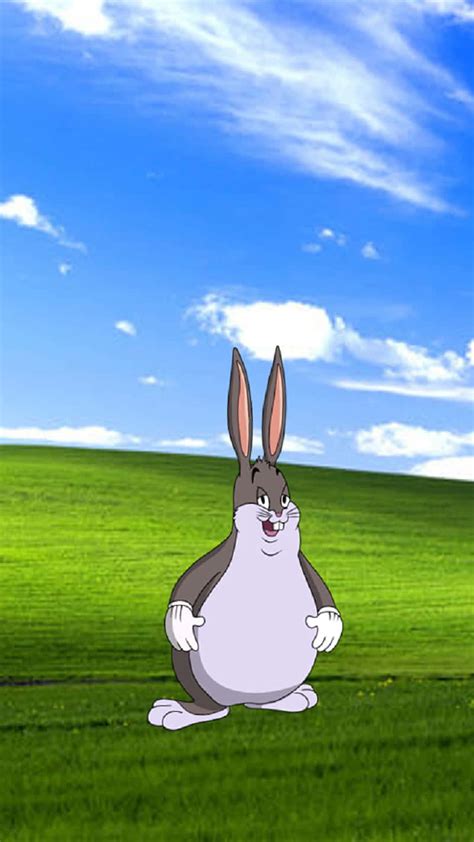 Download Join Big Chungus And Hop On The Fun Ride Wallpaper